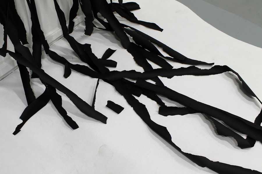 A phase of Something in Between